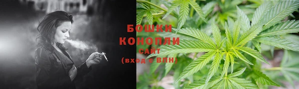 первитин Белокуриха