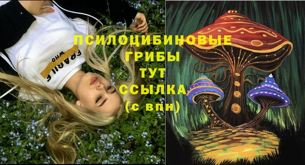 первитин Белокуриха