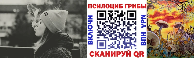 купить наркотик Рудня Псилоцибиновые грибы GOLDEN TEACHER